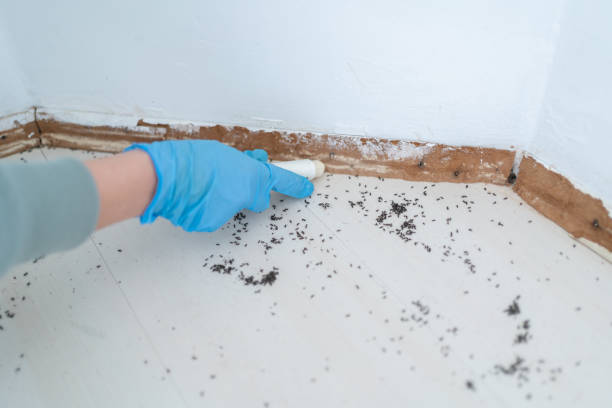 Best Best Pest Control Companies  in Bremen, OH